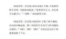 蚂蚁的启示500字