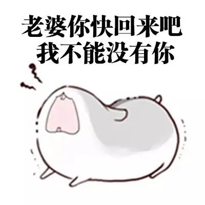 如果你对你的妻子坦白