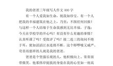 爸爸变了作文400字