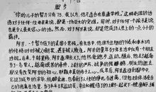 阿甘正传读后感