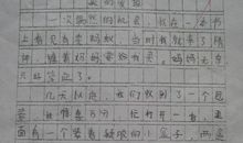 生活的启示作文开头