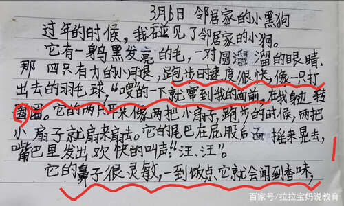 写一个朋友的作文300个单词