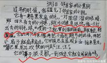 写朋友的作文300字