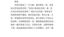 旅游途中的见闻作文