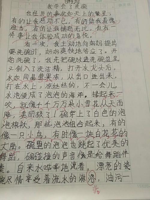 我学会洗碗的小学作文