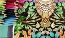 读《秘密花园》有感