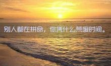 给自己一片悬崖读后感