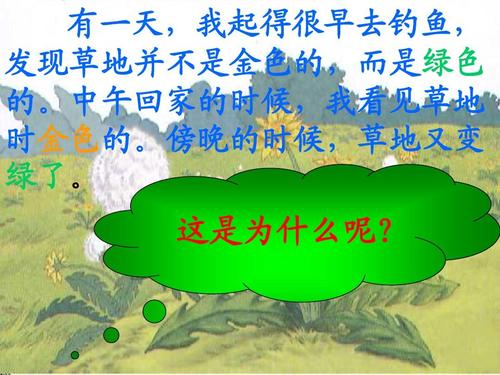 看完金草