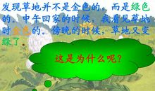 金色的草地读后感