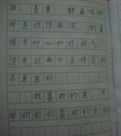 钓鱼组成