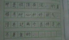 钓鱼趣事作文
