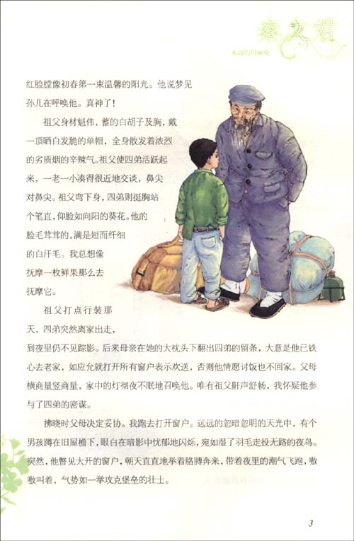 关于四兄弟的绿色庄园的思考