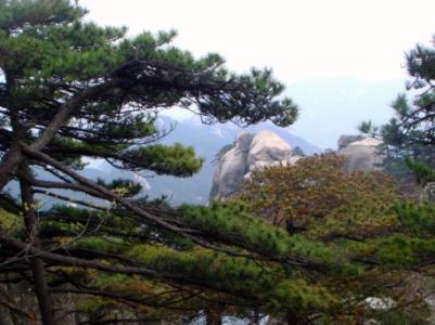 寂寞的天柱山