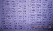 我变了作文600字