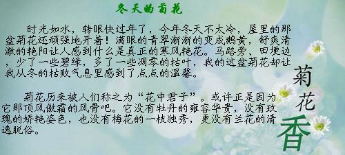 诚信组成