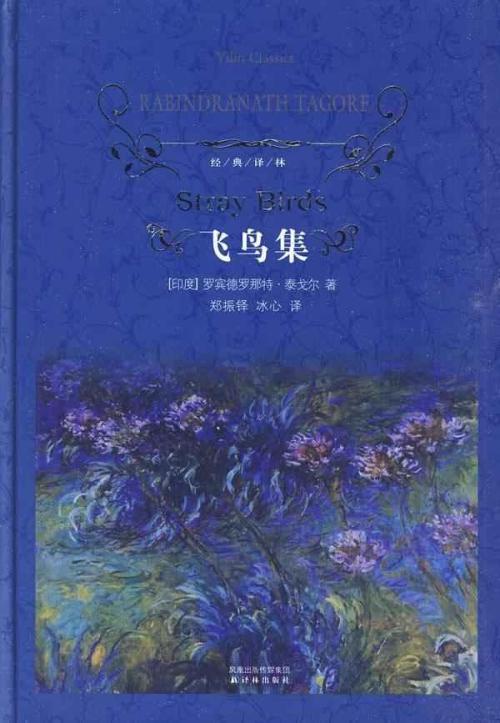 关于明日香的想法
