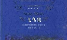 飞鸟集的读后感