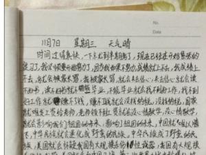 诚信作文200字