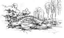 我心中的风景线