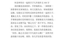 怀念快乐的日子作文