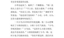 春天的故事的作文