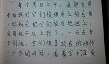 清明扫墓作文600字