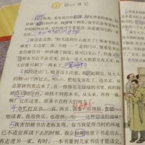 看完之后