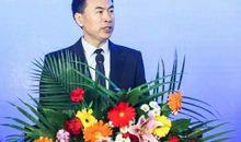 中国式秘书读后感