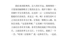 写植物的作文100字