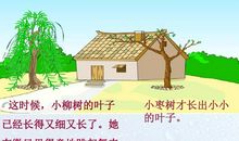 小柳树和小枣树读后感