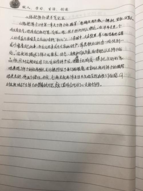 阅读后100字