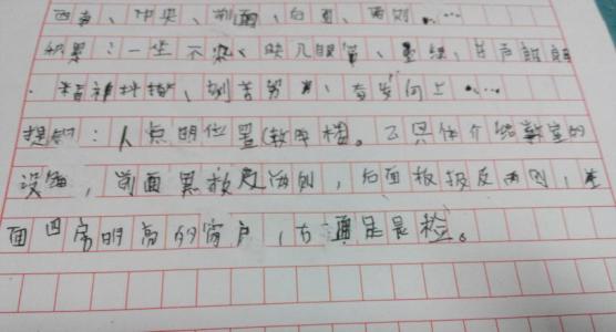 烟花创作300字