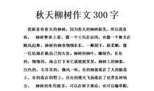 柳树作文600字