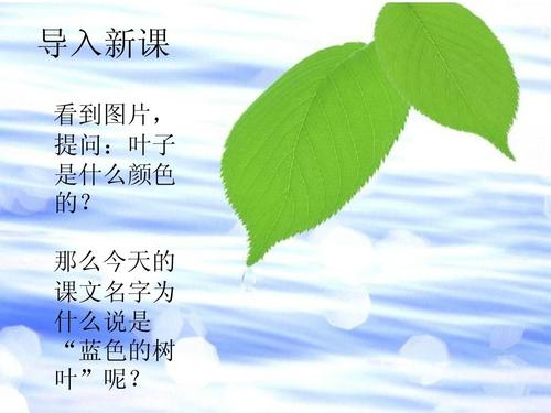 阅读后的蓝叶