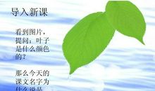 蓝色的树叶读后感