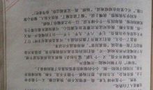 夏季运动会作文