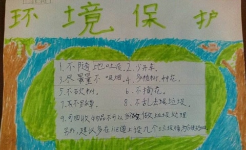 我为环保所做的一件事