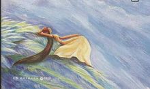 爱上生命中的不完美读后感