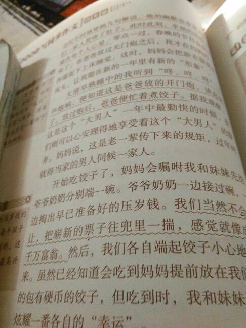 春节作文200字