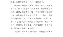 我经历的一件事作文