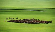 呼伦贝尔大草原作文