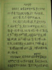 100个农历新年作文