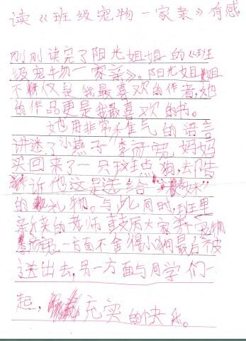 阅读后上课的宠物家庭