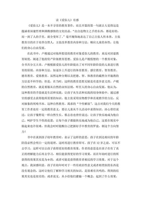 埃米尔的想法