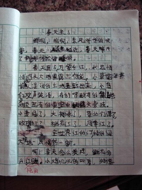 春季组成