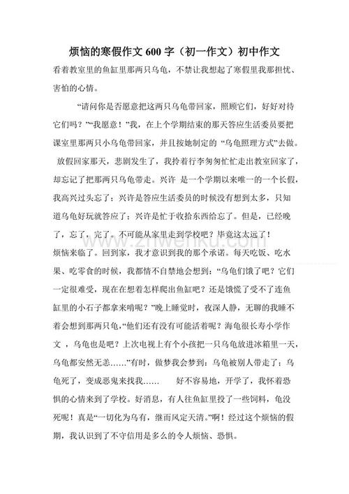 初中寒假作文