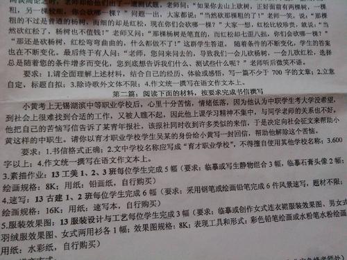 寒假作文300字