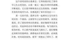 清明节扫墓作文800字