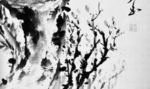 乌鸦反哺的作文