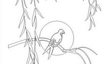 写我爱柳树作文500字